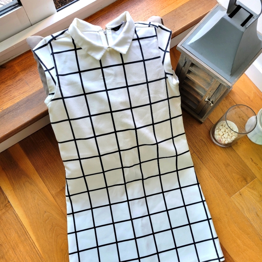 Zara trafaluc 👗 dress
